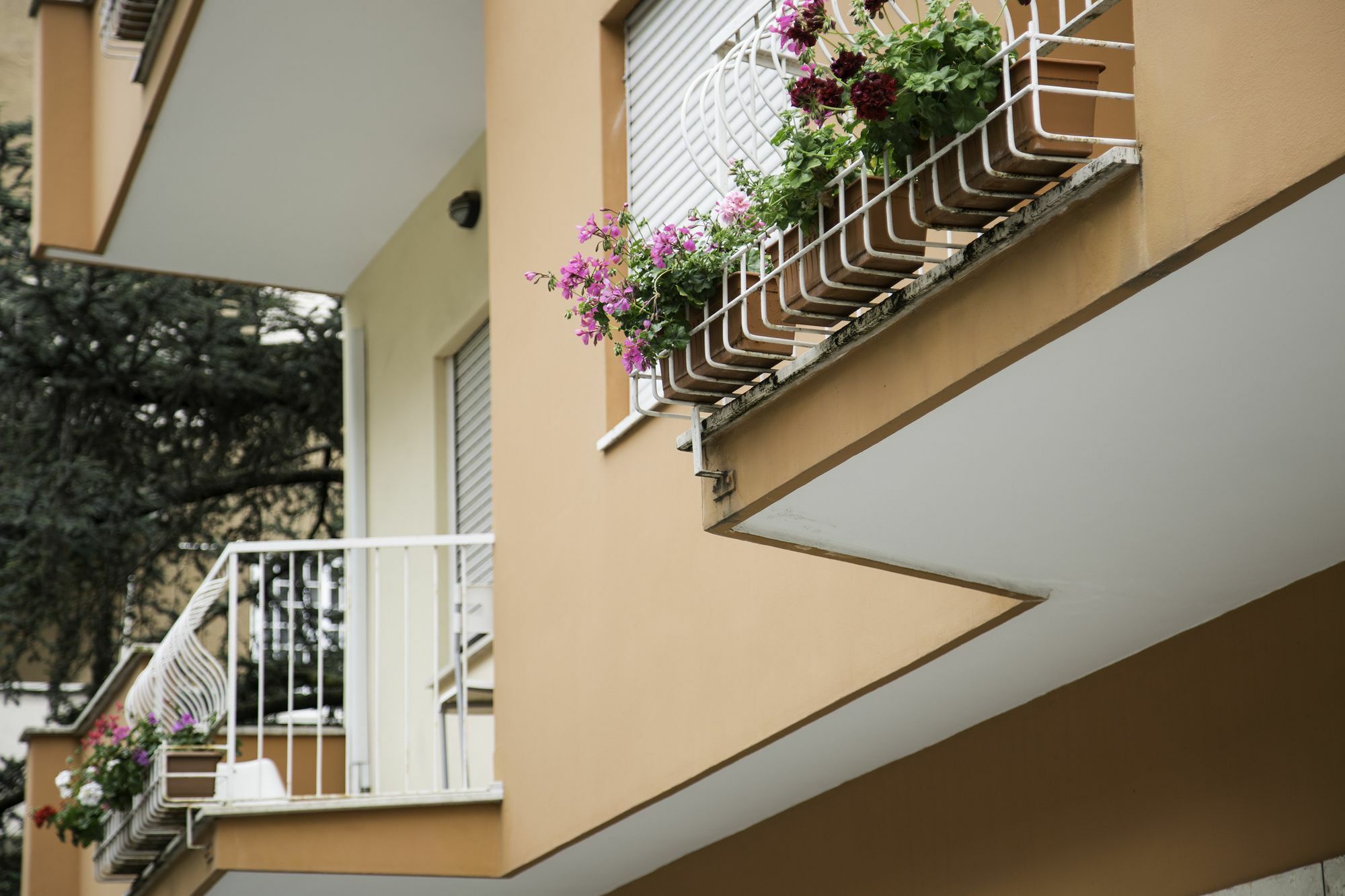 Roma Talenti Breme B&B Buitenkant foto
